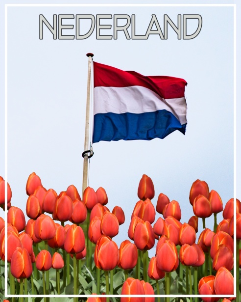 Sociale Projecten in Nederland Verandering Door Samenwerking