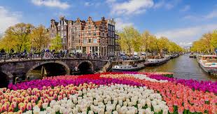 Sociale Projecten in Nederland Verandering Door Samenwerking